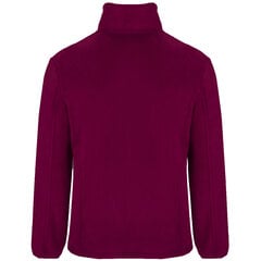 Flīsa jaka ARTIC, granāta cena un informācija | Vīriešu džemperi | 220.lv