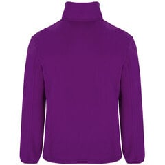 Flīsa jaka ARTIC, violeta cena un informācija | Vīriešu džemperi | 220.lv
