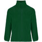 Flīsa jaka ARTIC, zaļa цена и информация | Vīriešu džemperi | 220.lv