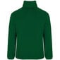 Flīsa jaka ARTIC, zaļa cena un informācija | Vīriešu džemperi | 220.lv