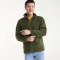 Flīsa jaka ARTIC, tumši zaļa cena un informācija | Vīriešu džemperi | 220.lv