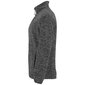 Flīsa jaka ARTIC, pelēka cena un informācija | Vīriešu džemperi | 220.lv