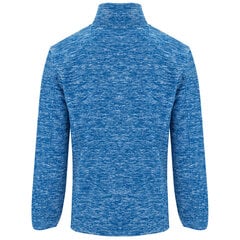Flīsa jaka ARTIC, gaiši zila cena un informācija | Vīriešu džemperi | 220.lv