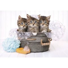 Пазл 180шт. «Lovely Kittens» (Милые котята) цена и информация | Пазлы | 220.lv