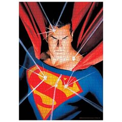Puzle DC Comics Superman, 1000 gab. cena un informācija | Puzles, 3D puzles | 220.lv