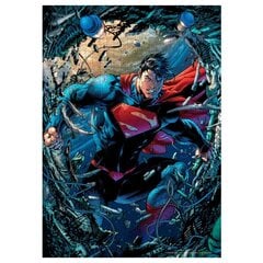 Puzle DC Comics Superman, 1000 d. cena un informācija | Puzles, 3D puzles | 220.lv
