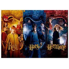 Puzle Harry Potter Ron, Harry, Hermione, 1000 gab. cena un informācija | Puzles, 3D puzles | 220.lv