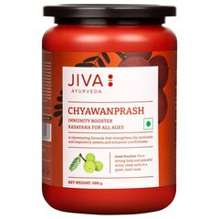 Ayurvedic herbs Chyawanprash, Jiva Ayurveda, 500g цена и информация | Консервы | 220.lv