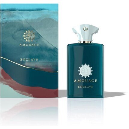 Parfimērijas ūdens Amouage Enclave EDP, 100 ml cena un informācija | Vīriešu smaržas | 220.lv