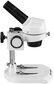 BRESSER JUNIOR mikroskops x20 cena un informācija | Teleskopi un mikroskopi | 220.lv