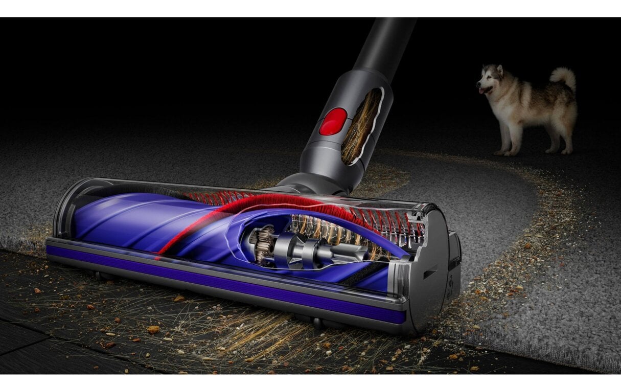 Dyson V12 Slim Detect Absolute cena un informācija | Putekļu sūcēji - slotas | 220.lv