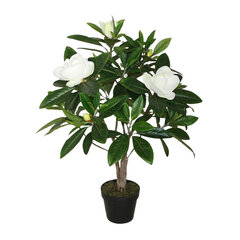Dekoratīvs Augs DKD Home Decor Magnolia PVC (57 x 55 x 90 cm) cena un informācija | Interjera priekšmeti | 220.lv