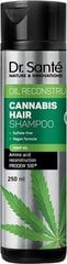 Dr. Sante Cannabis Hair atdzīvinošs matu šampūns, 250 ml цена и информация | Шампуни | 220.lv