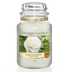 Yankee Candle Camellia Blossom Candle - Aromātiskā svece 104.0g цена и информация | Подсвечники, свечи | 220.lv