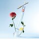 Tualetes ūdens Kenzo Flower by Kenzo EDT sievietēm 30 ml cena un informācija | Sieviešu smaržas | 220.lv