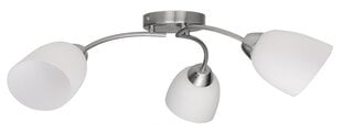 Настольная лампа Allocacoc Heng Balance Ellipse  цена и информация | Потолочные светильники | 220.lv