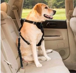 Automašīnas drošības jostas suņiem XXL cena un informācija | Ceļojumu piederumi | 220.lv