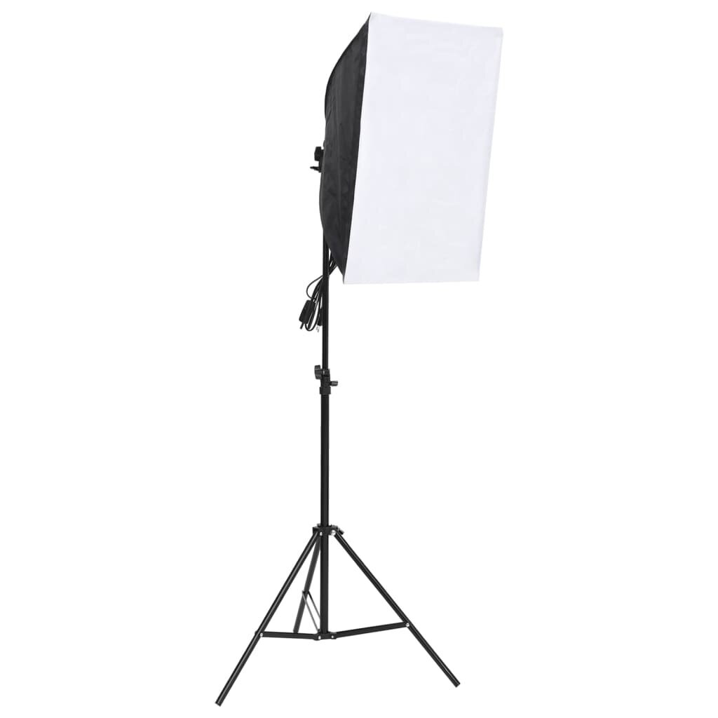 Profesionāls fotostudijas apgaismojums, 60x40cm cena un informācija | Apgaismojums fotografēšanai | 220.lv