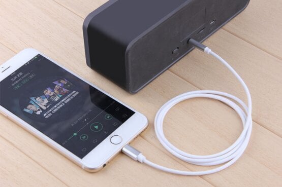 AUX Lightning mini Jack 3,5 mm kabelis iPhone iPad 1M cena un informācija | Savienotājkabeļi | 220.lv