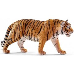 Фигурка азиатского тигра Schleich цена и информация | Развивающие игрушки | 220.lv