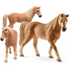 Статуэтка Mare Tennessee Walker Schleich цена и информация | Развивающие игрушки | 220.lv