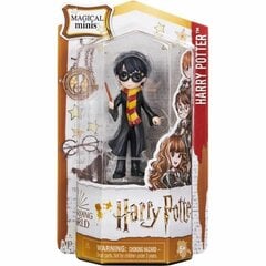 HARRY POTTER Maģiska Maza lelle - Harry cena un informācija | Attīstošās rotaļlietas | 220.lv