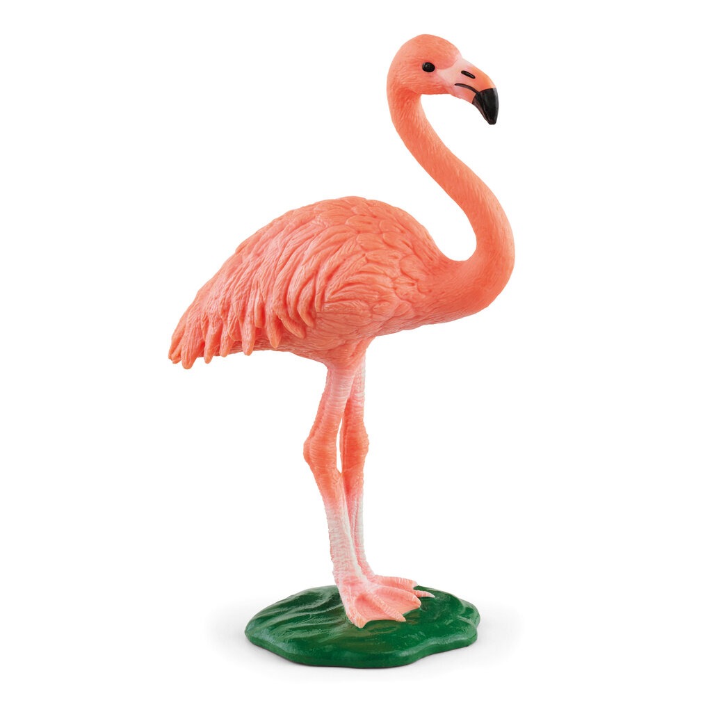 Flamingo figūriņa Schleich цена и информация | Rotaļlietas zēniem | 220.lv