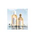 Tualetes ūdens Guerlain Aqua Allegoria Nettare Di Sole EDT sievietēm 125 ml cena un informācija | Sieviešu smaržas | 220.lv