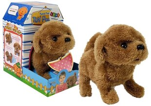 Интерактивный щенок, коричневый цена и информация | Мягкие игрушки | 220.lv