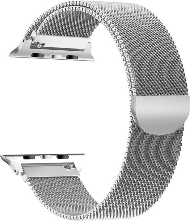 Tech-Protect Watch Band Silver цена и информация | Viedpulksteņu un viedo aproču aksesuāri | 220.lv