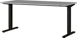 Письменный стол 4244, серый цвет цена и информация | Компьютерные, письменные столы | 220.lv