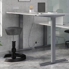 Письменный стол 4244, серый цвет цена и информация | Компьютерные, письменные столы | 220.lv