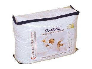Bielbaw одеяло Fulfilled Hopes, 135x200 см цена и информация | Одеяла | 220.lv
