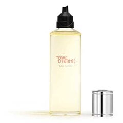 Парфюмерная вода Hermes Terre D'Hermes Eau Givree EDP для мужчин 125 мл цена и информация | Мужские духи | 220.lv