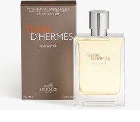 Parfimērijas ūdens Hermes Terre D'Hermes Eau Givree EDP vīriešiem 100 ml cena un informācija | Hermès Smaržas, kosmētika | 220.lv