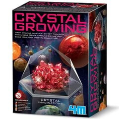 Развивающая игрушка 4M Growing Crystals: красные кристаллы цена и информация | Развивающие игрушки | 220.lv