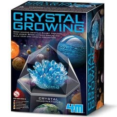 4M kristālu audzēšana: zilie kristāli cena un informācija | Attīstošās rotaļlietas | 220.lv