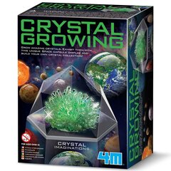 Развивающая игрушка 4M Growing Crystals: зеленые кристаллы цена и информация | Развивающие игрушки | 220.lv