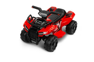 Детский электрический четырехколесный Toyz Raptor, красный цена и информация | Электромобили для детей | 220.lv