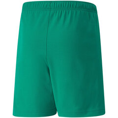 Bērnu šorti Puma teamRISE Short Jr green 704943 05 цена и информация | Zēnu šorti | 220.lv