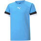 T-krekls bērniem Puma teamRISE Jersey Jr zils 704938 18 cena un informācija | Zēnu krekli | 220.lv