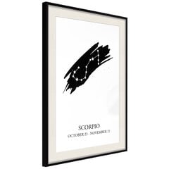 Plakāts Zodiac: Scorpio, melns rāmis ar pasi cena un informācija | Gleznas | 220.lv
