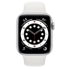 Apple Watch Series 6 44mm Silver Stainless Steel (Atjaunots A) cena un informācija | Viedpulksteņi (smartwatch) | 220.lv