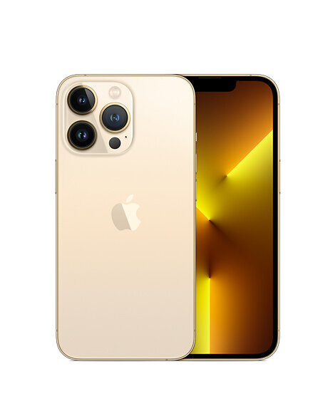 iPhone 13 Pro 256GB zelta (lietots, stāvoklis A) cena un informācija | Mobilie telefoni | 220.lv