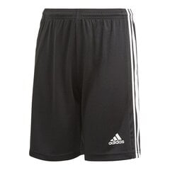 Adidas Šorti Squad 21 Short Black GN5767 цена и информация | Шорты для мальчиков | 220.lv