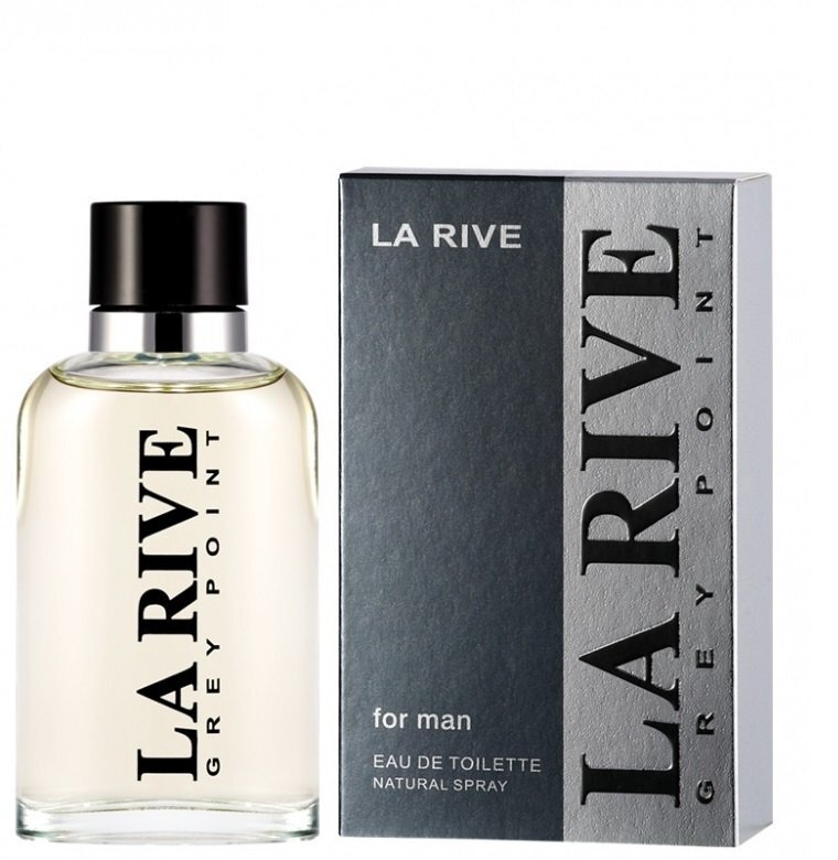 La Rive Grey Point For Man EDT vīriešiem 90 ml цена и информация | Vīriešu smaržas | 220.lv