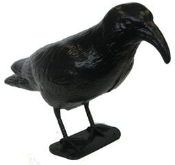 Декоративная ворона для отпугивания птиц цена и информация | Декоры для сада | 220.lv