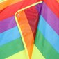 Liels trīsstūrveida varavīksnes pūķis bērniem цена и информация | Gaisa pūķi | 220.lv