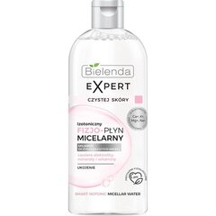 Изотонический физио-мицеллярный раствор Bielenda Expert Clean Skin Relief, 400мл цена и информация | Средства для очищения лица | 220.lv