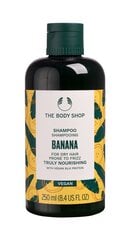 Шампунь The Body Shop Shampooing Nourrissant Banane, 250мл цена и информация | Шампуни | 220.lv